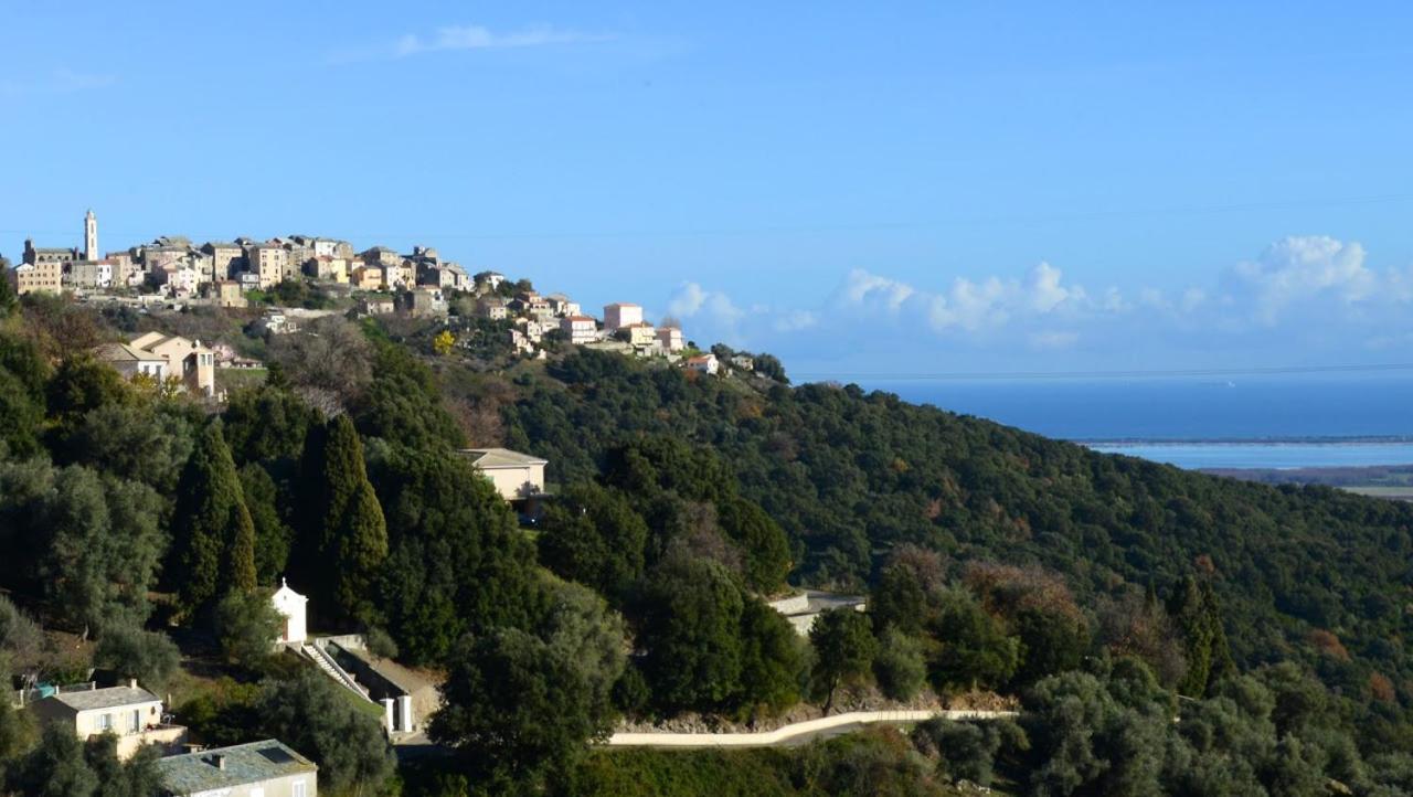 Au Coeur Du Village De Lucciana Lucciana  Extérieur photo